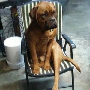 Meet your Posher, Jake